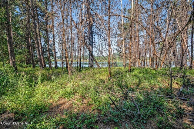 219 Bald Eagle, Newport, WA 99156 - photo 11