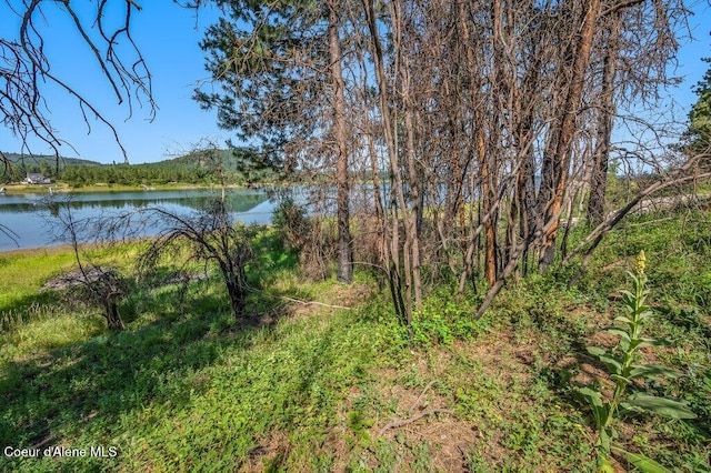 219 Bald Eagle, Newport, WA 99156 - photo 12