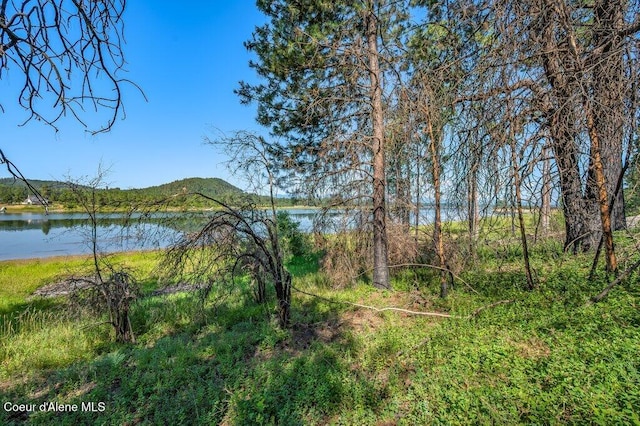 219 Bald Eagle, Newport, WA 99156 - photo 13