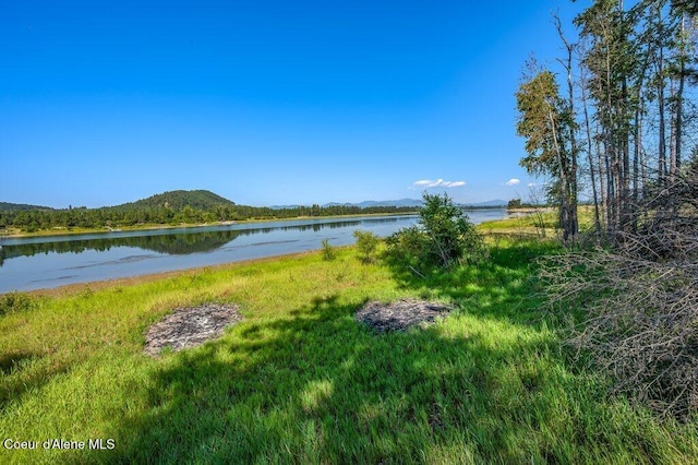 219 Bald Eagle, Newport, WA 99156 - photo 14