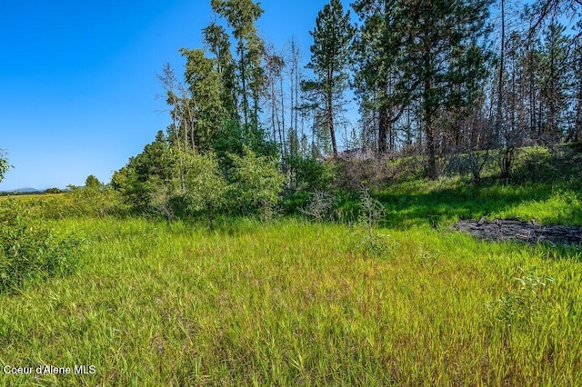 219 Bald Eagle, Newport, WA 99156 - photo 16