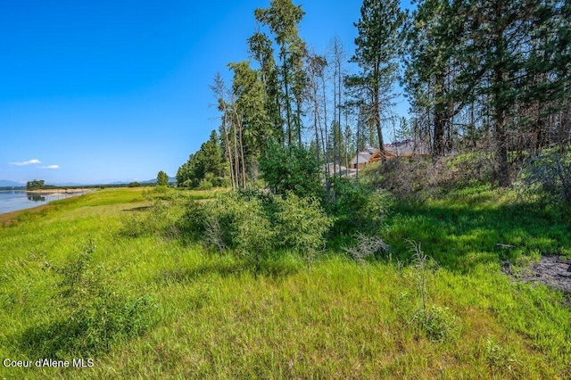 219 Bald Eagle, Newport, WA 99156 - photo 17