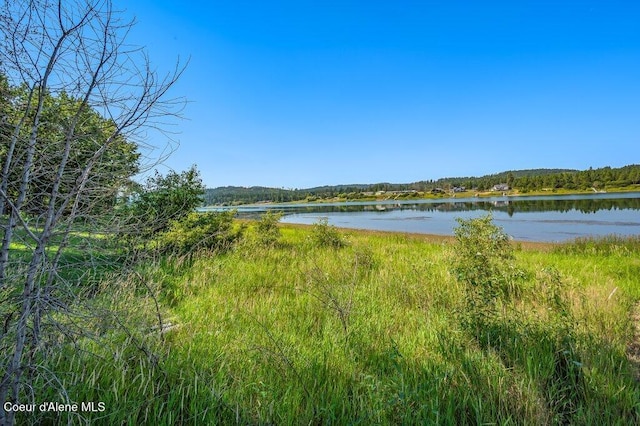 219 Bald Eagle, Newport, WA 99156 - photo 22