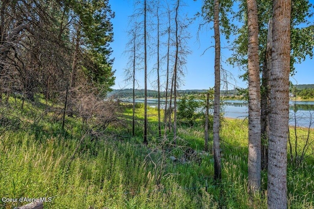 219 Bald Eagle, Newport, WA 99156 - photo 23