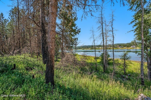 219 Bald Eagle, Newport, WA 99156 - photo 24