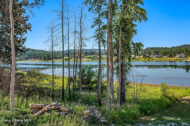 219 Bald Eagle, Newport, WA 99156 - photo 25