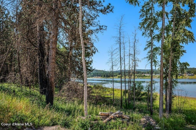 219 Bald Eagle, Newport, WA 99156 - photo 26
