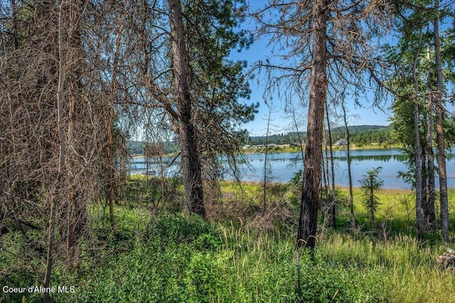 219 Bald Eagle, Newport, WA 99156 - photo 27