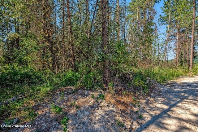 219 Bald Eagle, Newport, WA 99156 - photo 28
