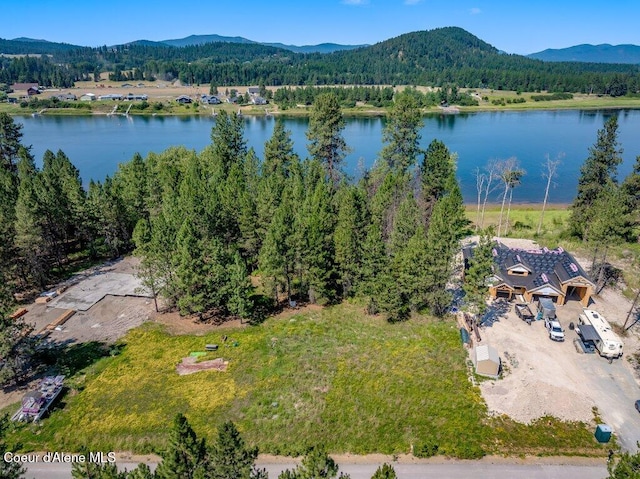 219 Bald Eagle, Newport, WA 99156 - photo 33
