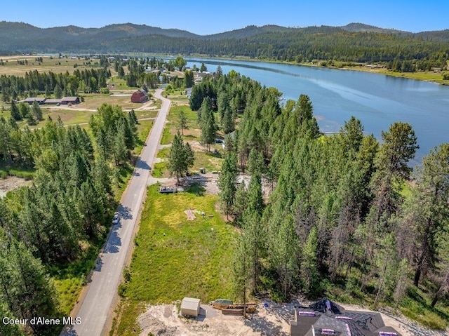 219 Bald Eagle, Newport, WA 99156 - photo 35