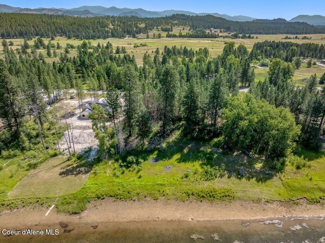 219 Bald Eagle, Newport, WA 99156 - photo 37