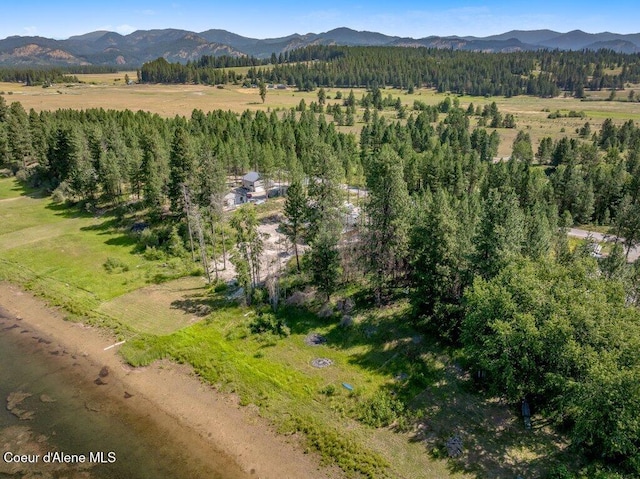 219 Bald Eagle, Newport, WA 99156 - photo 38
