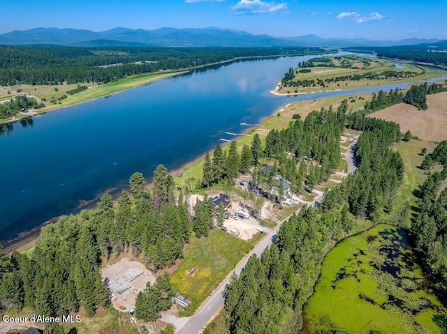 219 Bald Eagle, Newport, WA 99156 - photo 42