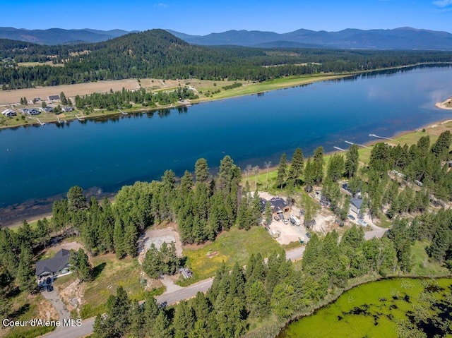 219 Bald Eagle, Newport, WA 99156 - photo 44