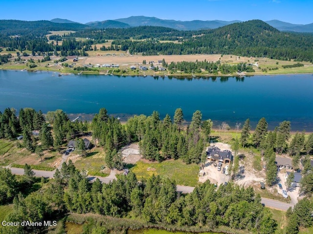 219 Bald Eagle, Newport, WA 99156 - photo 45