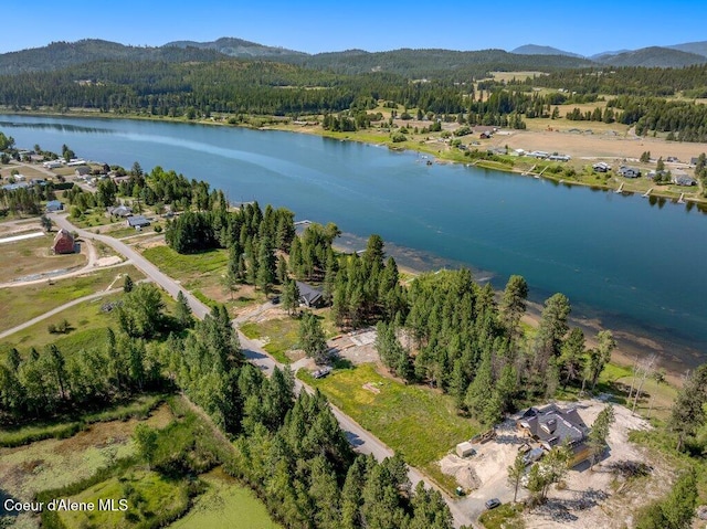219 Bald Eagle, Newport, WA 99156 - photo 46