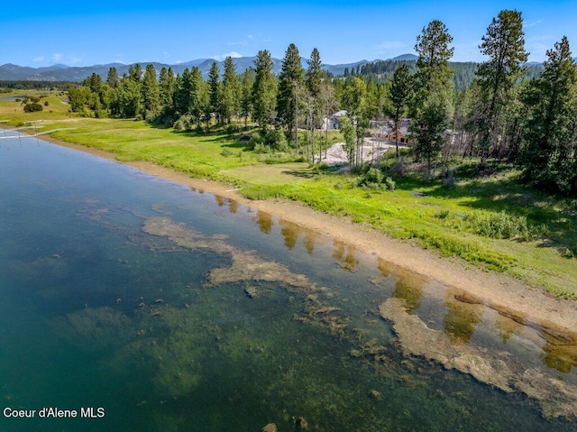 219 Bald Eagle, Newport, WA 99156 - photo 48