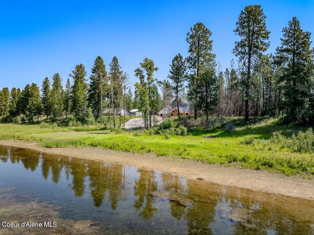 219 Bald Eagle, Newport, WA 99156 - photo 50
