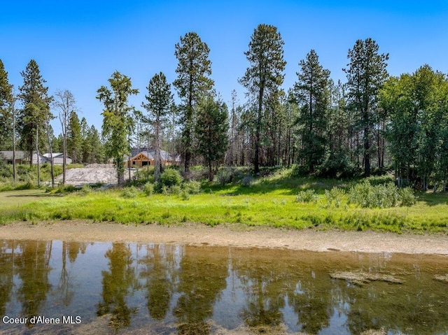 219 Bald Eagle, Newport, WA 99156 - photo 51