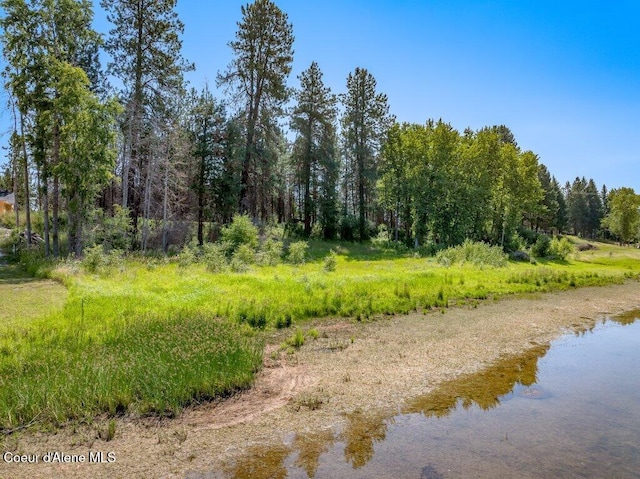 219 Bald Eagle, Newport, WA 99156 - photo 53