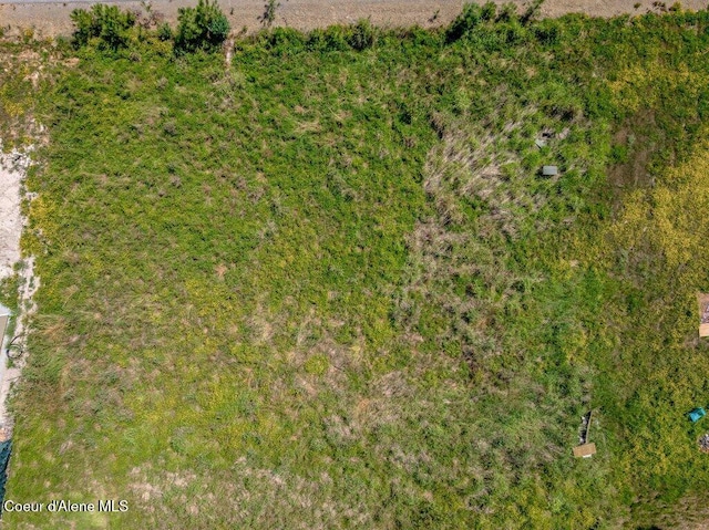 219 Bald Eagle, Newport, WA 99156 - photo 54