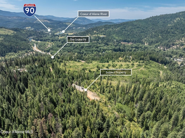 950 Bear Ridge Ln, Kingston, ID 83839 - photo 4