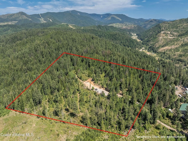 950 Bear Ridge Ln, Kingston, ID 83839 - photo 5