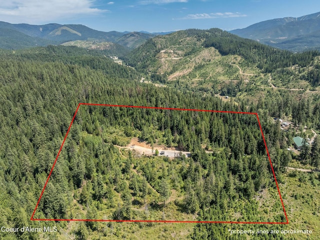 950 Bear Ridge Ln, Kingston, ID 83839 - photo 6