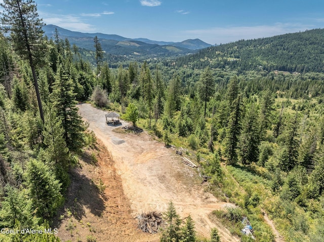 950 Bear Ridge Ln, Kingston, ID 83839 - photo 8