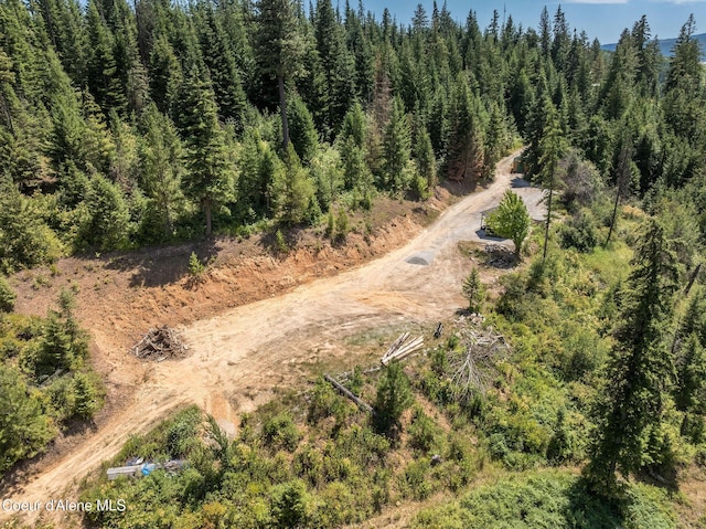 950 Bear Ridge Ln, Kingston, ID 83839 - photo 11