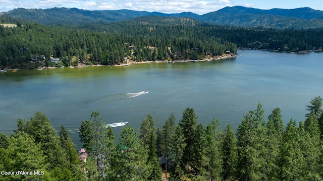 15432 N Shenandoah Dr, Hayden, ID 83835 - photo 41