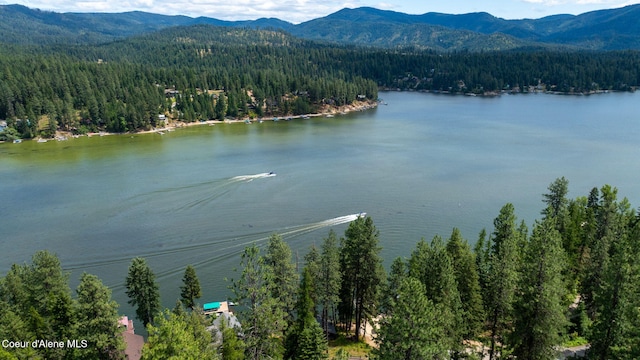 15432 N Shenandoah Dr, Hayden, ID 83835 - photo 43