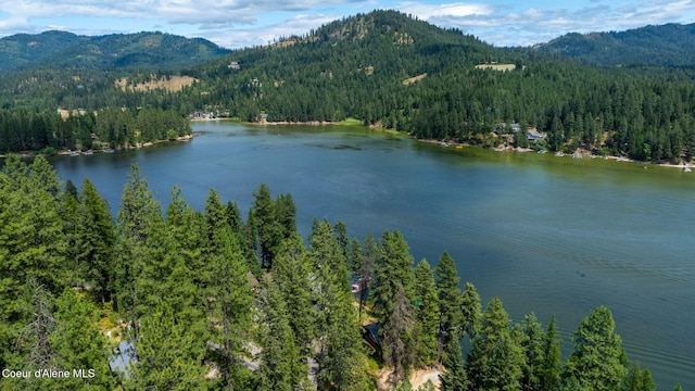 15432 N Shenandoah Dr, Hayden, ID 83835 - photo 45