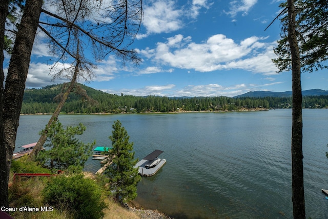 15432 N Shenandoah Dr, Hayden, ID 83835 - photo 49
