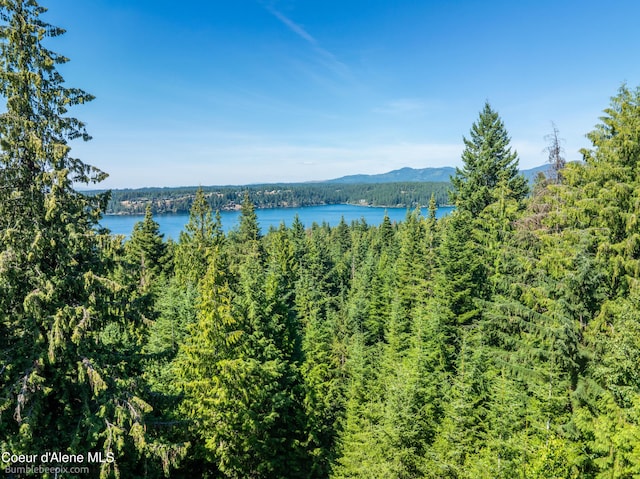 NNA N Clarkview Pl, Hayden, ID 83835 - photo 1