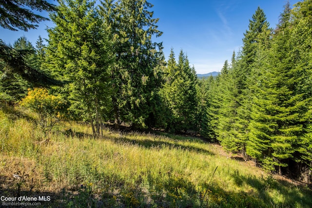 NNA N Clarkview Pl, Hayden, ID 83835 - photo 9