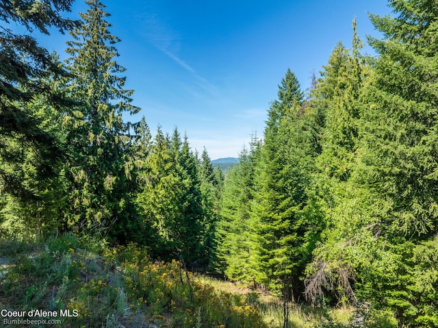 NNA N Clarkview Pl, Hayden, ID 83835 - photo 13