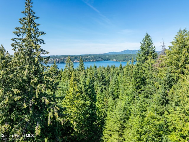NNA N Clarkview Pl, Hayden, ID 83835 - photo 14