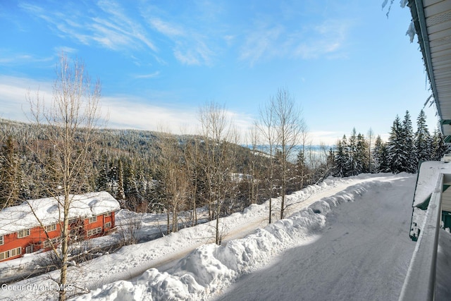 107 Cornice Ct Unit 306, Sandpoint, ID 83864 - photo 33