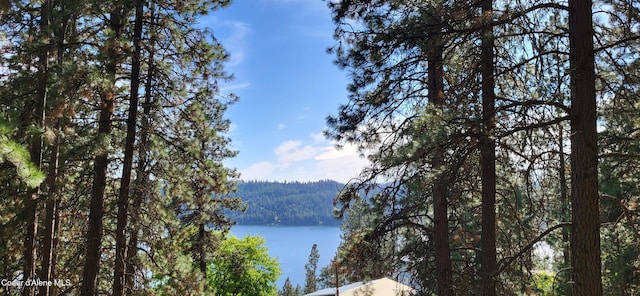 NNA E Crows Nest Rd, Harrison, ID 83833 - photo 11