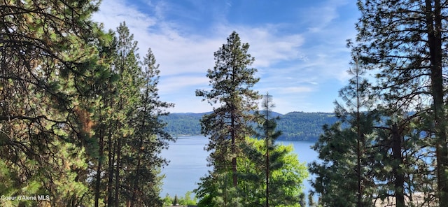NNA E Crows Nest Rd, Harrison, ID 83833 - photo 1