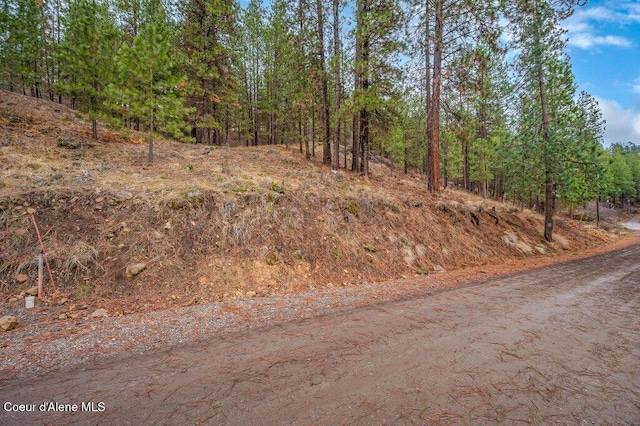 NNA E Crows Nest Rd, Harrison, ID 83833 - photo 5