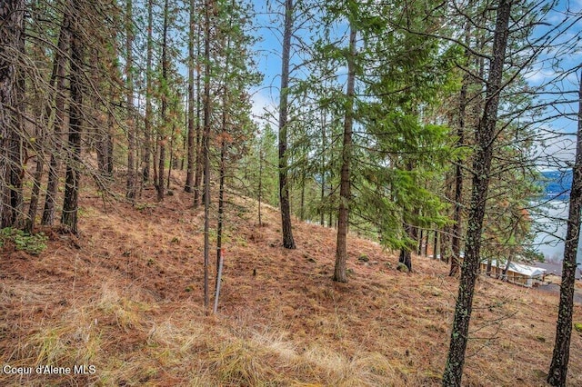 NNA E Crows Nest Rd, Harrison, ID 83833 - photo 4