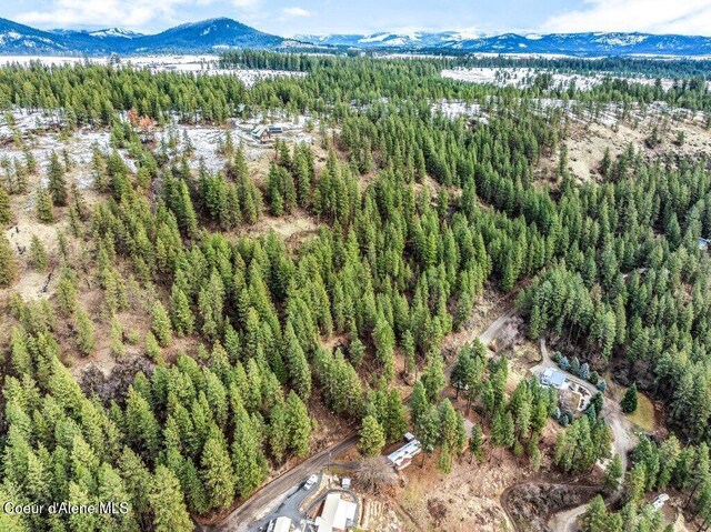 NNA E Crows Nest Rd, Harrison, ID 83833 - photo 12