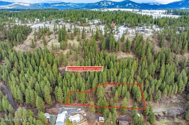 NNA E Crows Nest Rd, Harrison, ID 83833 - photo 6