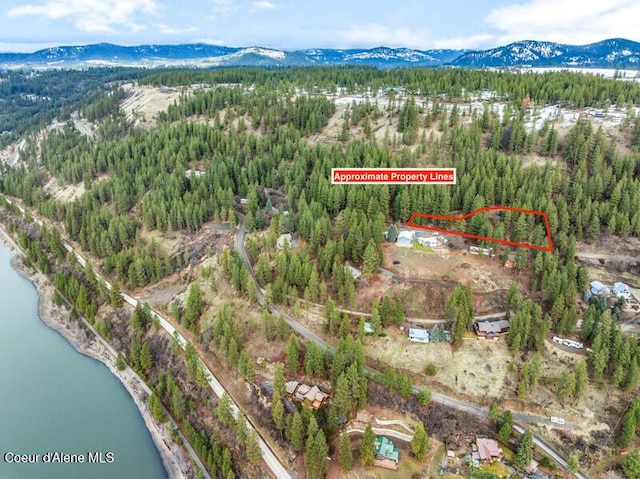 NNA E Crows Nest Rd, Harrison, ID 83833 - photo 15