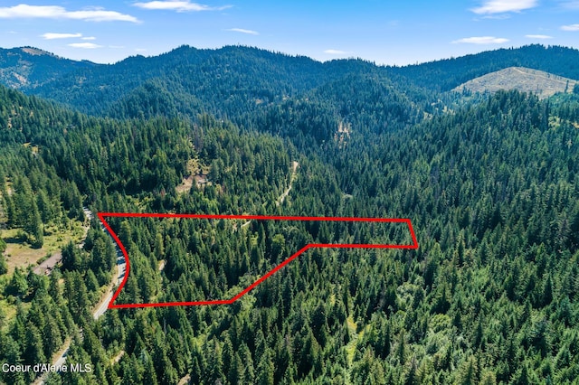 3794 S Elk Rd, Harrison, ID 83833 - photo 2
