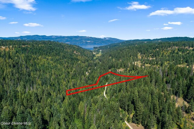 3794 S Elk Rd, Harrison, ID 83833 - photo 5