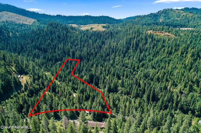 3794 S Elk Rd, Harrison, ID 83833 - photo 8